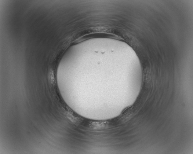 X0000075390089200610061916