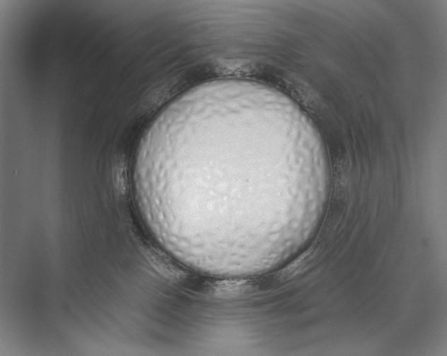 X0000075390090200610061916