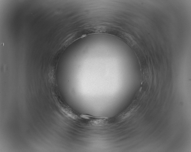 X0000075390092200610061916