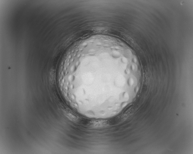 X0000075390093200610061916