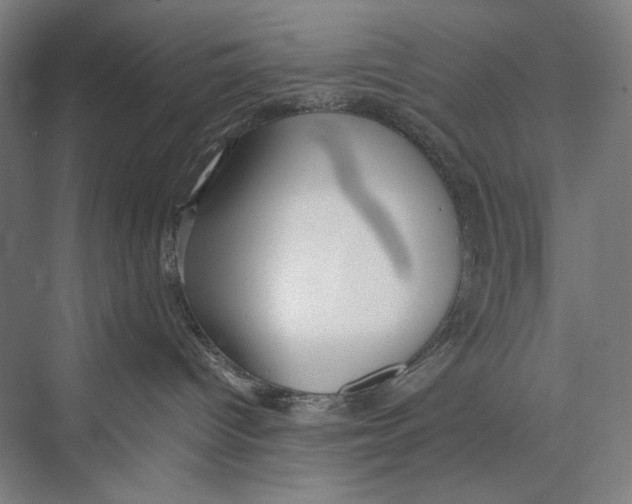 X0000075390096200610061916
