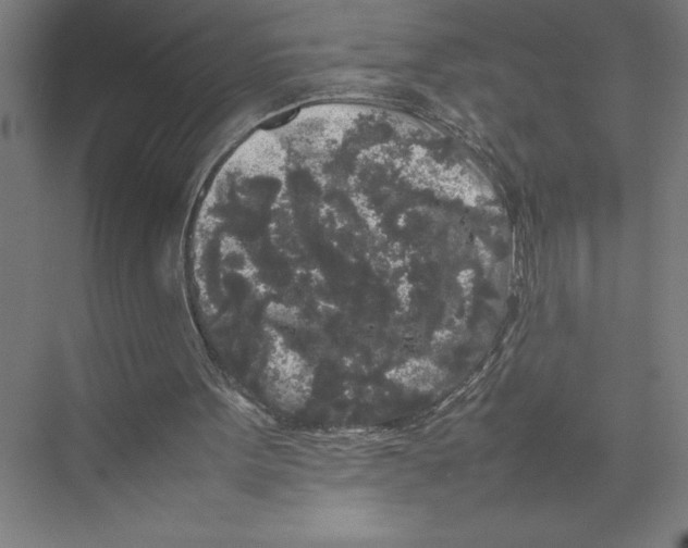 X0000075390099200610061915