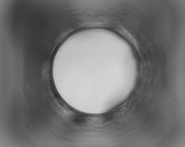 X0000075390107200610061915