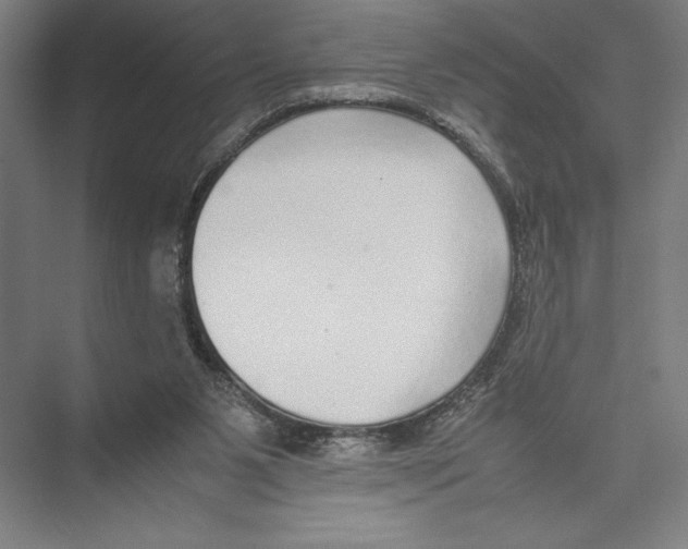 X0000075390111200610061915