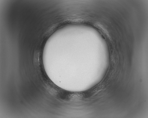 X0000075390115200610061915