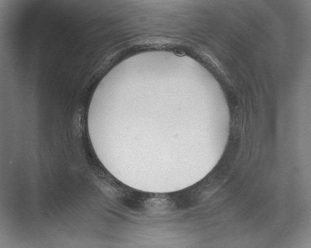 X0000075390119200610061915