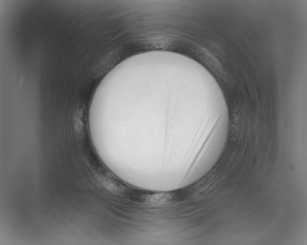 X0000075390122200610061915