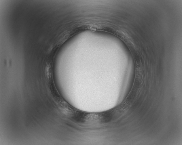 X0000075390123200610061915