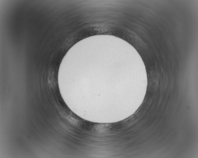 X0000075390136200610061914