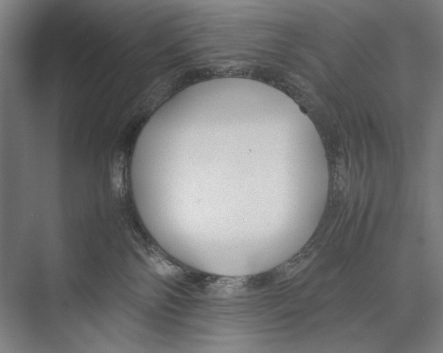 X0000075390138200610061914