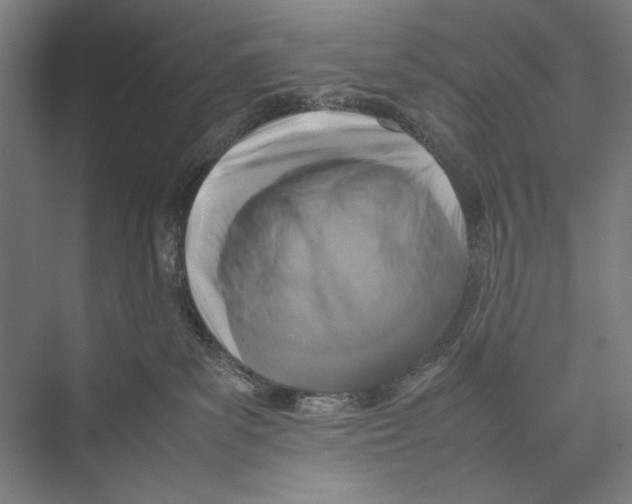 X0000075390139200610061914