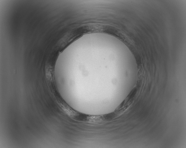 X0000075390141200610061914