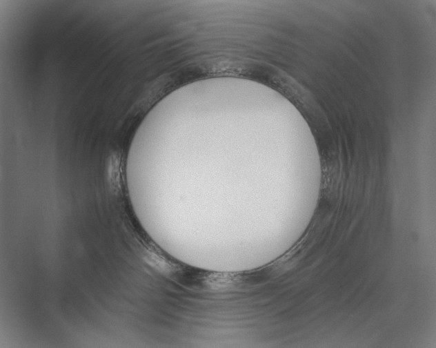 X0000075390142200610061914