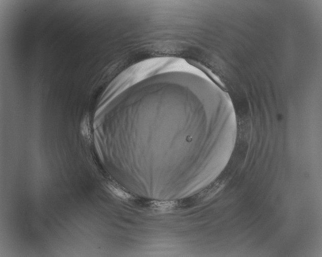 X0000075390143200610061914
