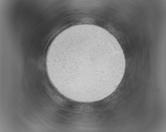 X0000075390146200610061914