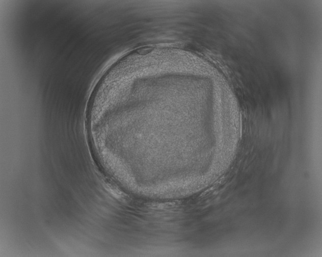 X0000075390147200610061914