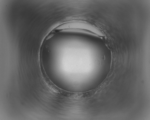 X0000075390148200610061914