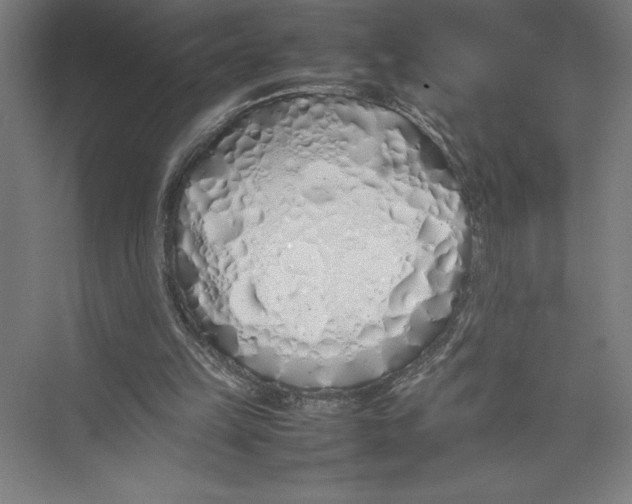 X0000075390149200610061914