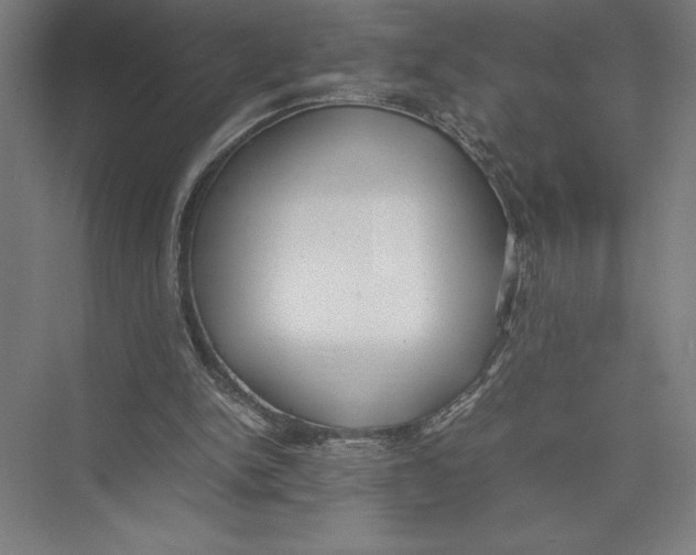 X0000075390150200610061914