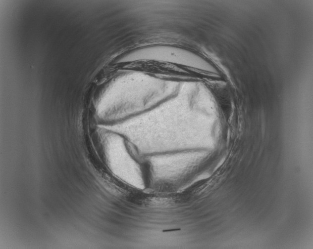 X0000075390154200610061914