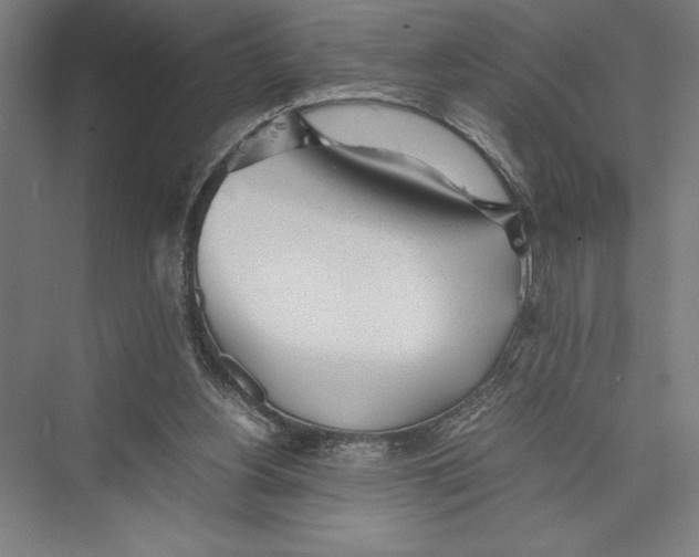 X0000075390156200610061914