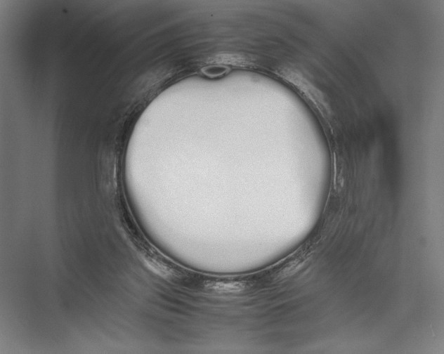 X0000075390157200610061914