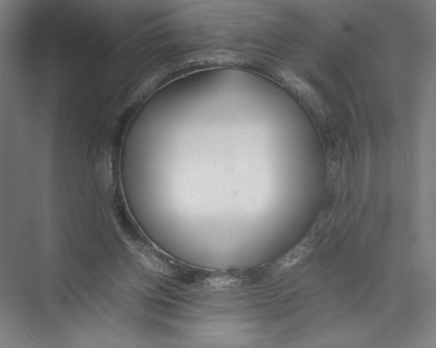 X0000075390158200610061914