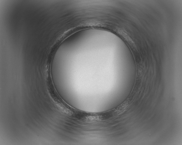 X0000075390160200610061914