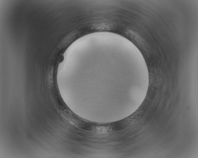 X0000075390163200610061914