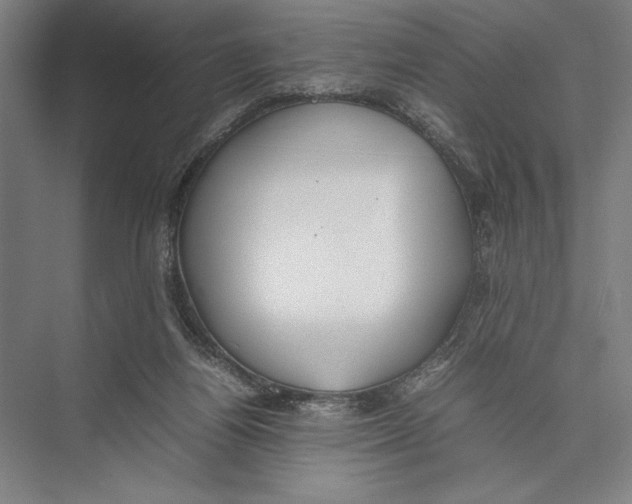 X0000075390164200610061914