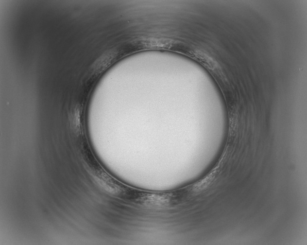 X0000075390166200610061914