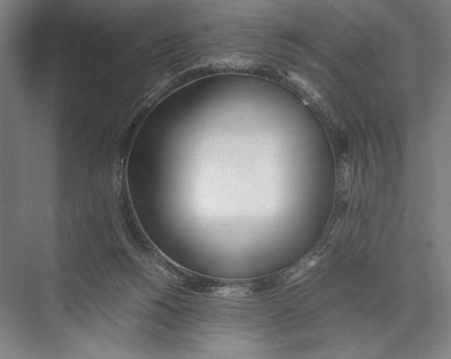 X0000075390168200610061914