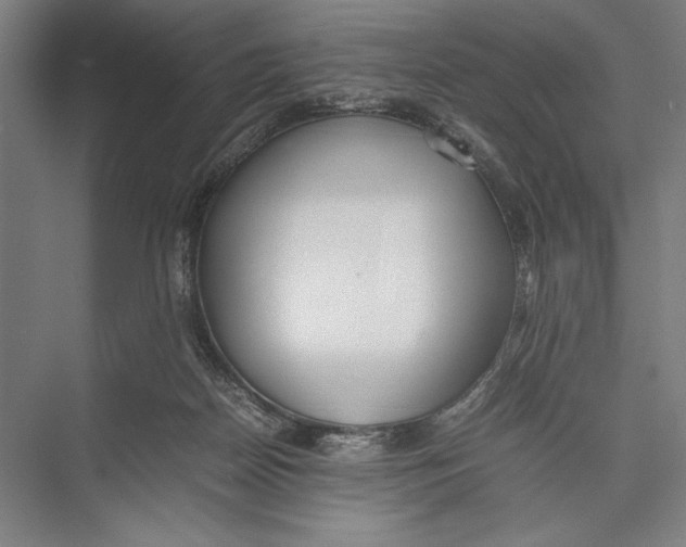 X0000075390170200610061914