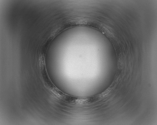 X0000075390172200610061914