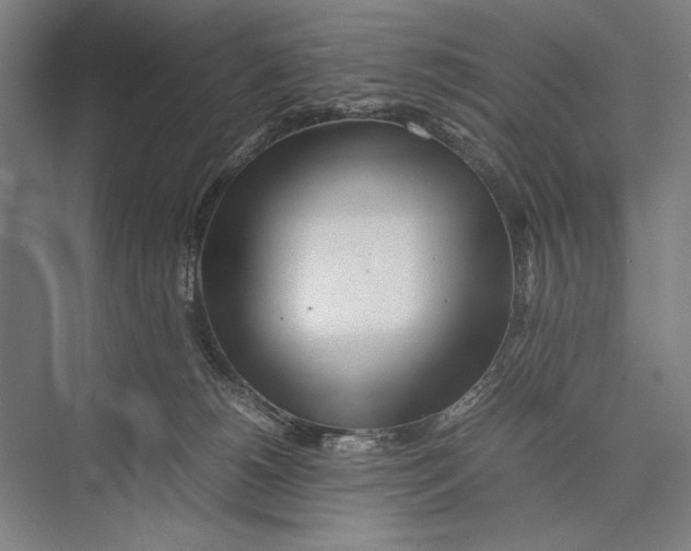 X0000075390180200610061914