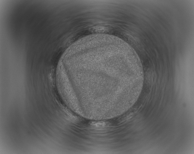 X0000075390181200610061914