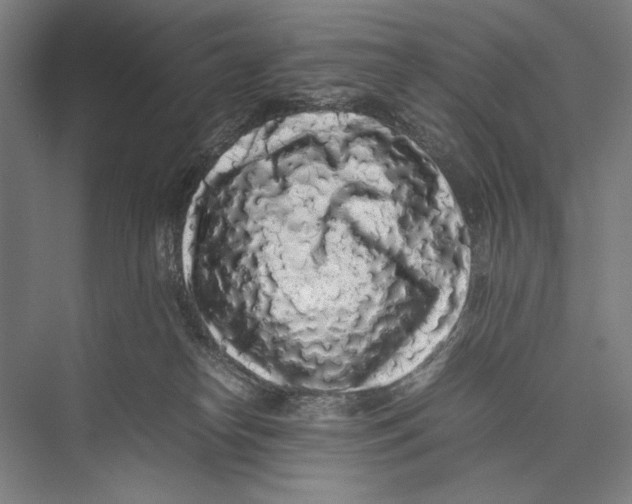X0000075390182200610061914