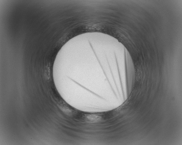 X0000075390183200610061914