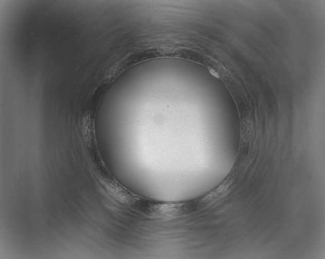 X0000075390184200610061914