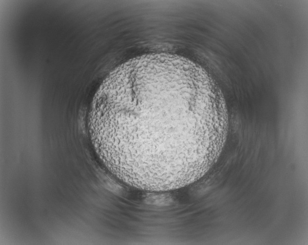 X0000075390185200610061914