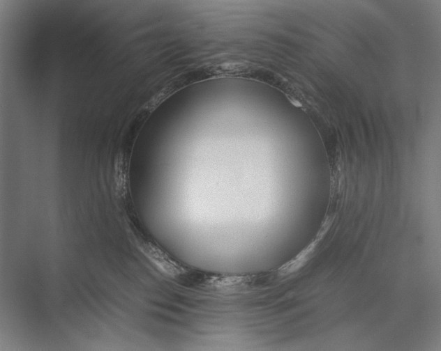 X0000075390186200610061914