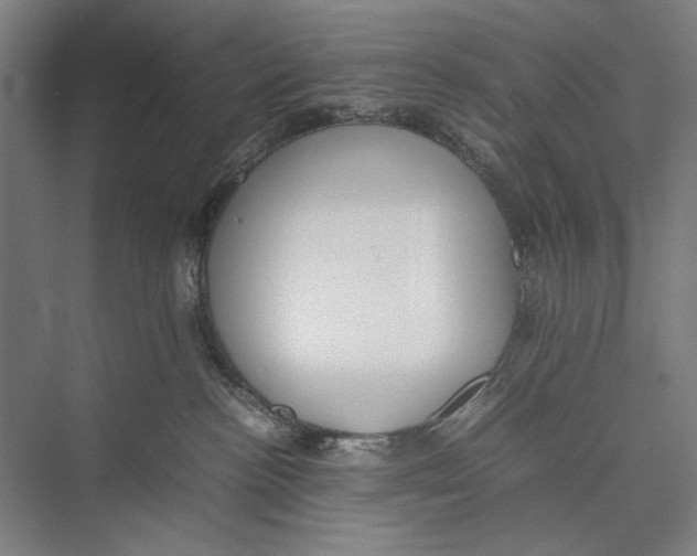 X0000075390188200610061914