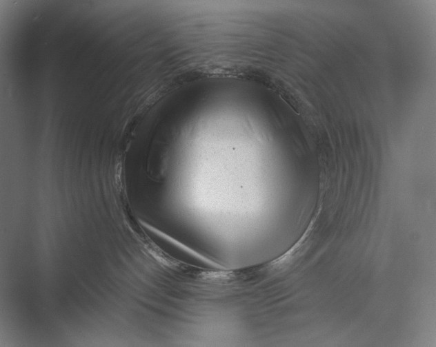 X0000075390192200610061914