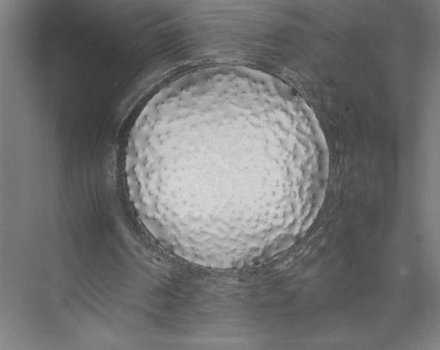 X0000075390194200610061913