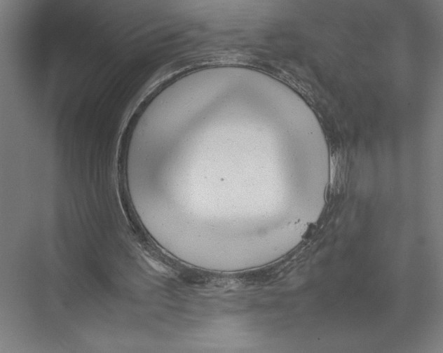 X0000075390195200610061913
