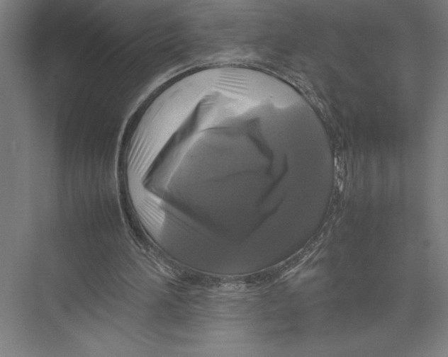 X0000075390196200610061913