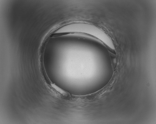 X0000075390197200610061913