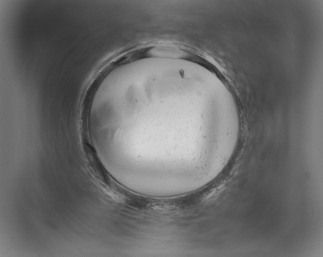 X0000075390199200610061913