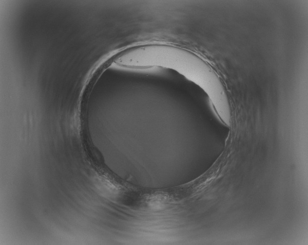 X0000075390200200610061913