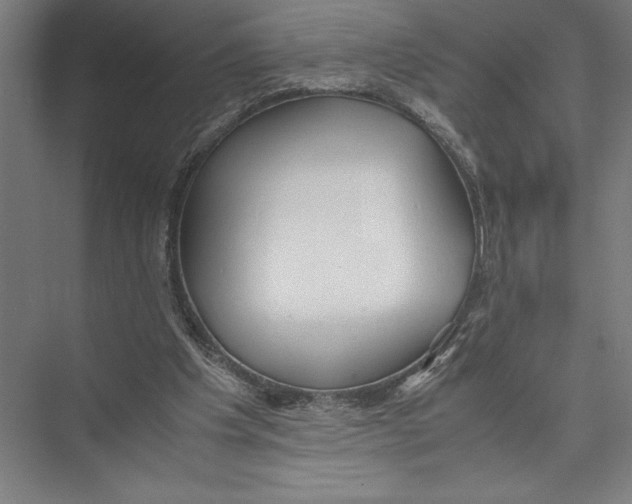 X0000075390201200610061913